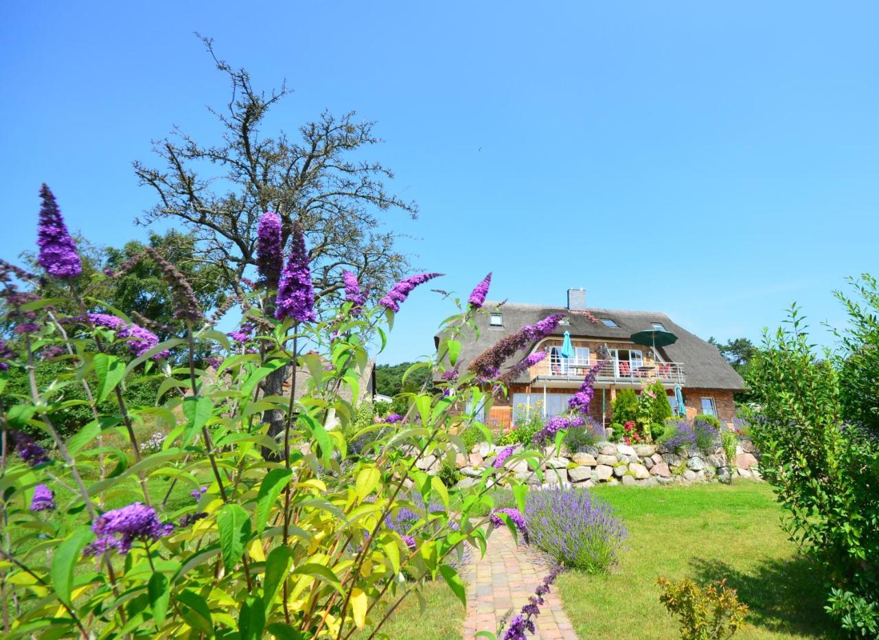 Reet Hausteile Sonnenkliff Und Kamp Apartment Gager Exterior photo